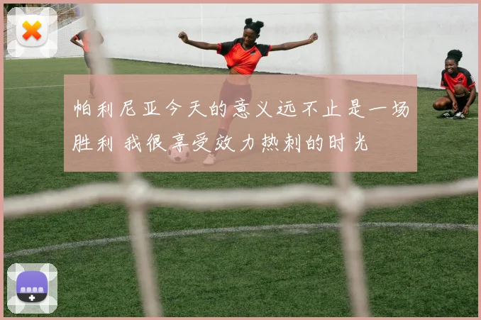 帕利尼亚今天的意义远不止是一场胜利 我很享受效力热刺的时光